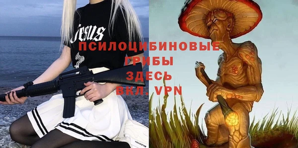 прущие крисы Верхний Тагил