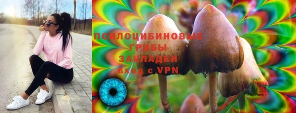 первитин Володарск