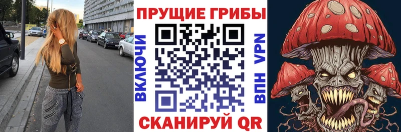 Псилоцибиновые грибы Psilocybe  мега онион  Глазов  купить закладку 